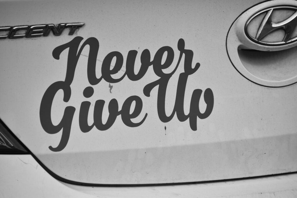 Crafting Captivating Headlines: Your awesome post title goes here Black and white image of 'Never Give Up' decal on a Hyundai car.